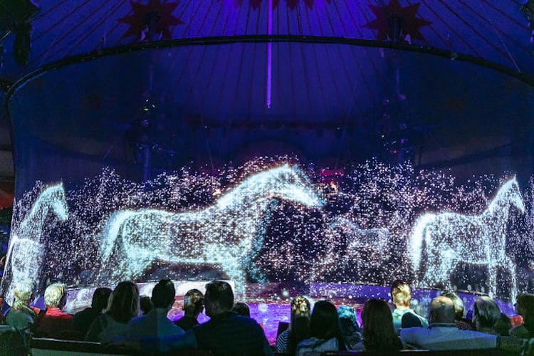 holograma de animales