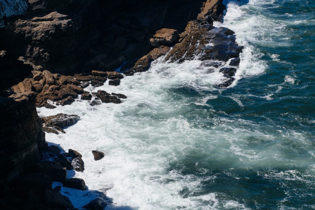 ¿Se podrían establecer redes de internet en el fondo del Mar? Esto dicen los expertos