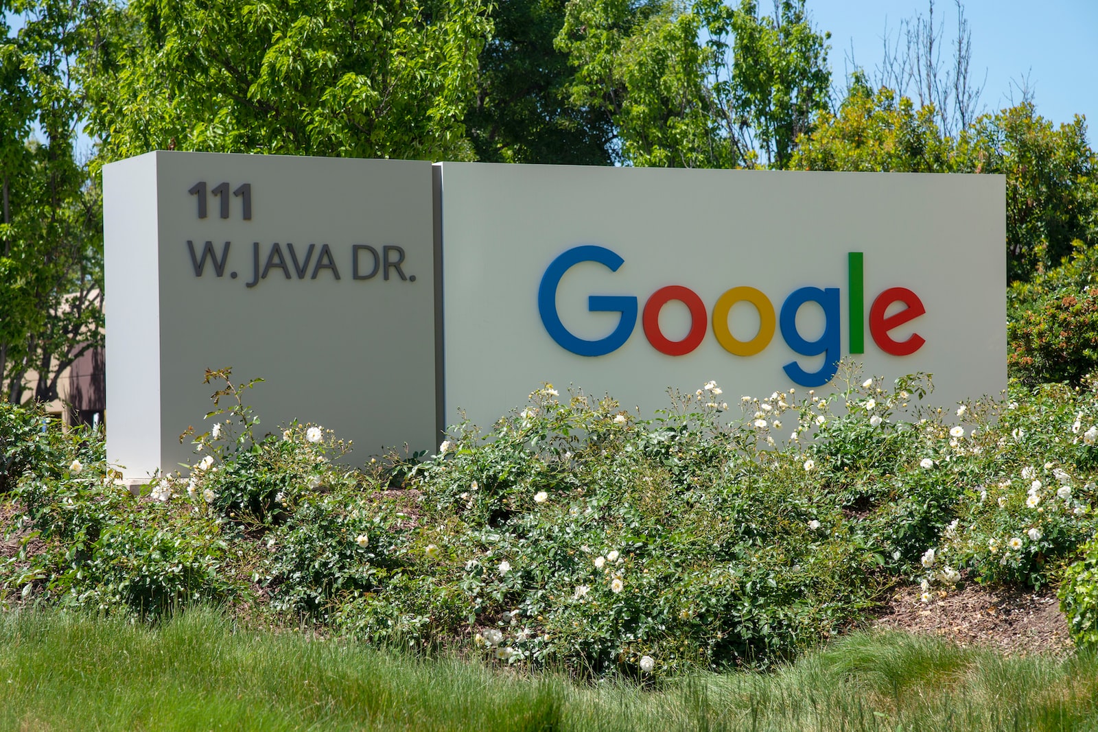 Comprar en Google Store Comprar en Google Store