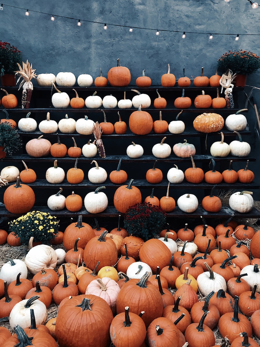 El mercado de Halloween y Minecraft El mercado de Halloween y Minecraft